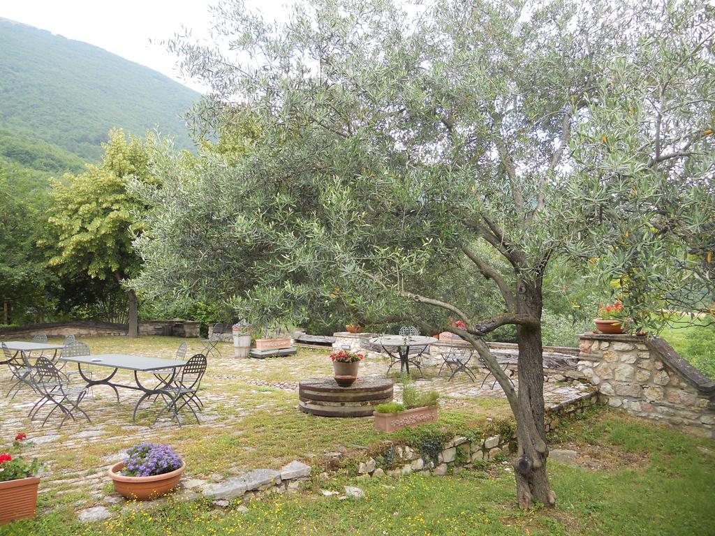 Il Giardino Degli Ulivi Villa Castelraimondo ภายนอก รูปภาพ